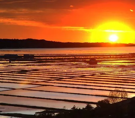 Apartma Renata Apartamento *