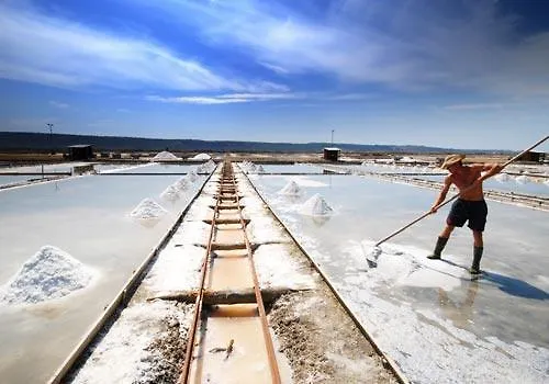 Διαμέρισμα Apartma Renata Πορτορόζ
